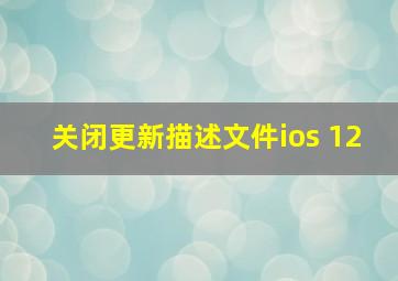 关闭更新描述文件ios 12